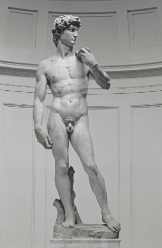 Michelangelo's David, front side