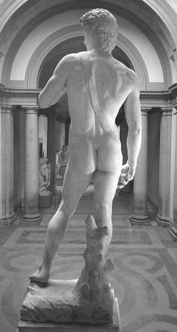Michelangelo's David, back side